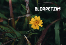 blorpetzim