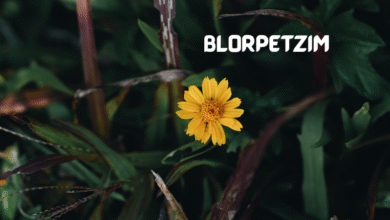 blorpetzim