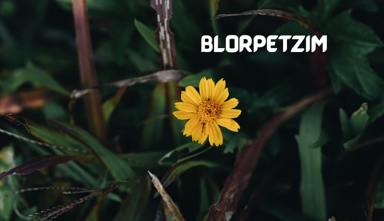 blorpetzim